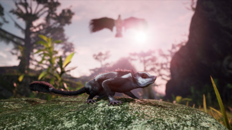 Away: The Survival Series