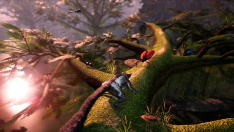 Away: The Survival Series