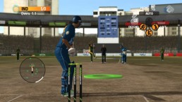 International Cricket 2010