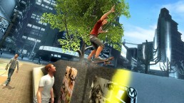 Shaun White Skateboarding