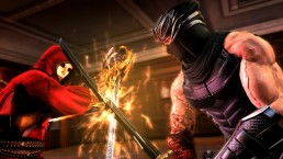 Ninja Gaiden 3