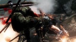 Ninja Gaiden 3