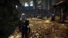 The Witcher 2: Assassins of Kings The Witcher 2: Assassins of Kings