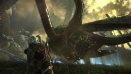 The Witcher 2: Assassins of Kings The Witcher 2: Assassins of Kings