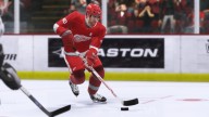 NHL 2K9