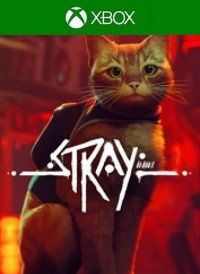 Stray